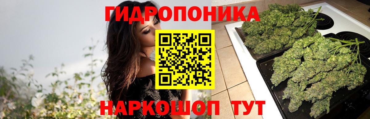 Бошки Шишки MAZAR Балашиха